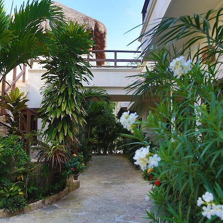 Xibalba Hotel Dive Center 图卢姆 外观 照片
