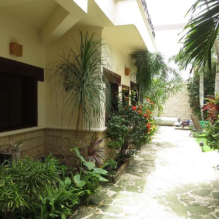 Xibalba Hotel Dive Center 图卢姆 外观 照片