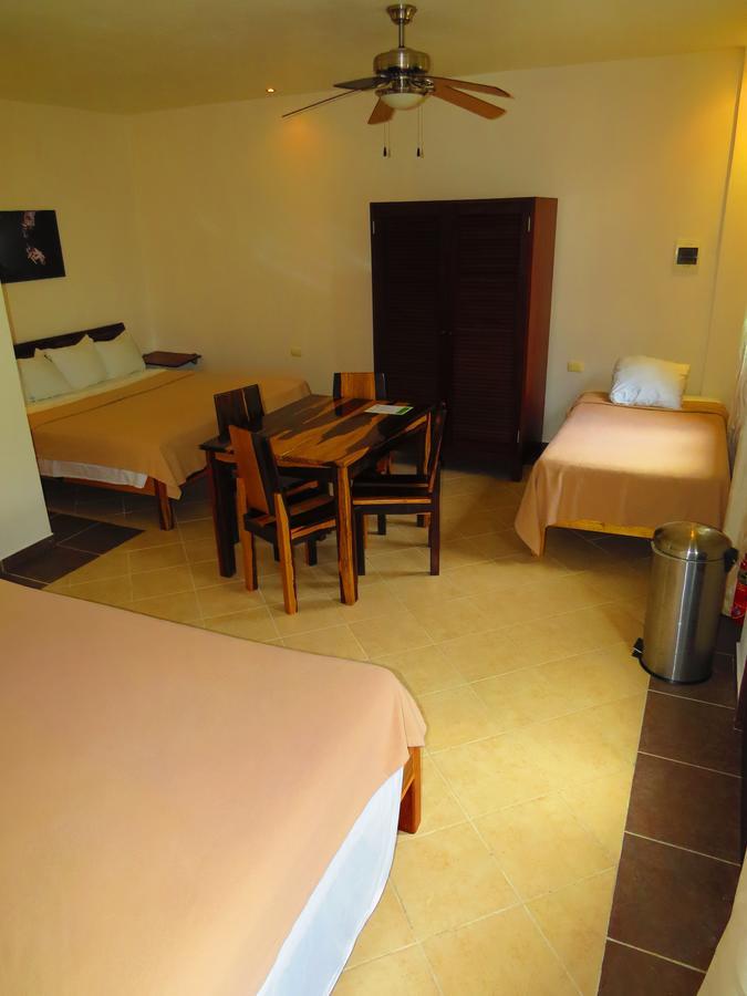 Xibalba Hotel Dive Center 图卢姆 客房 照片