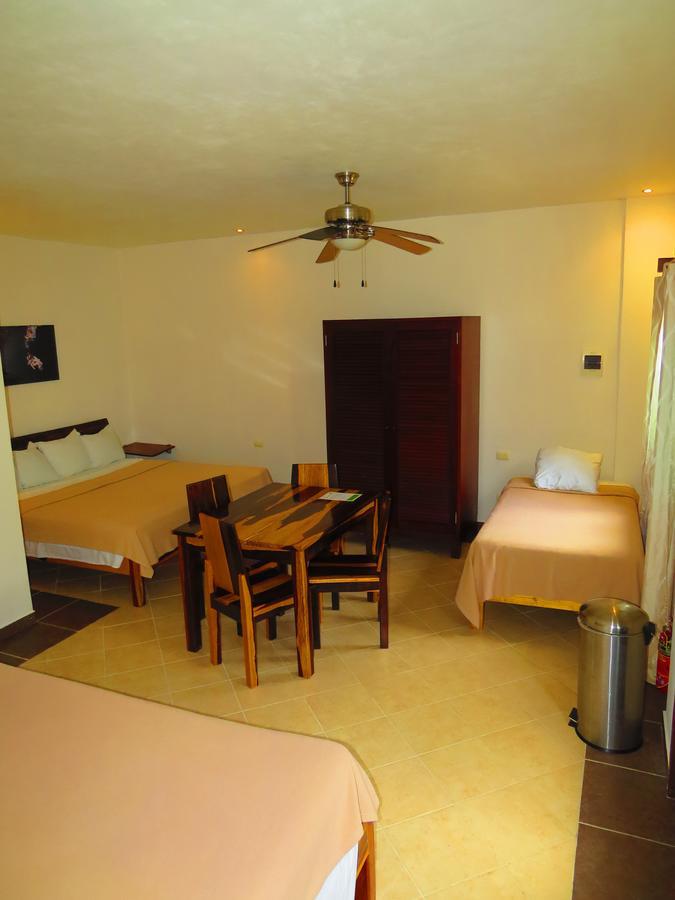 Xibalba Hotel Dive Center 图卢姆 客房 照片