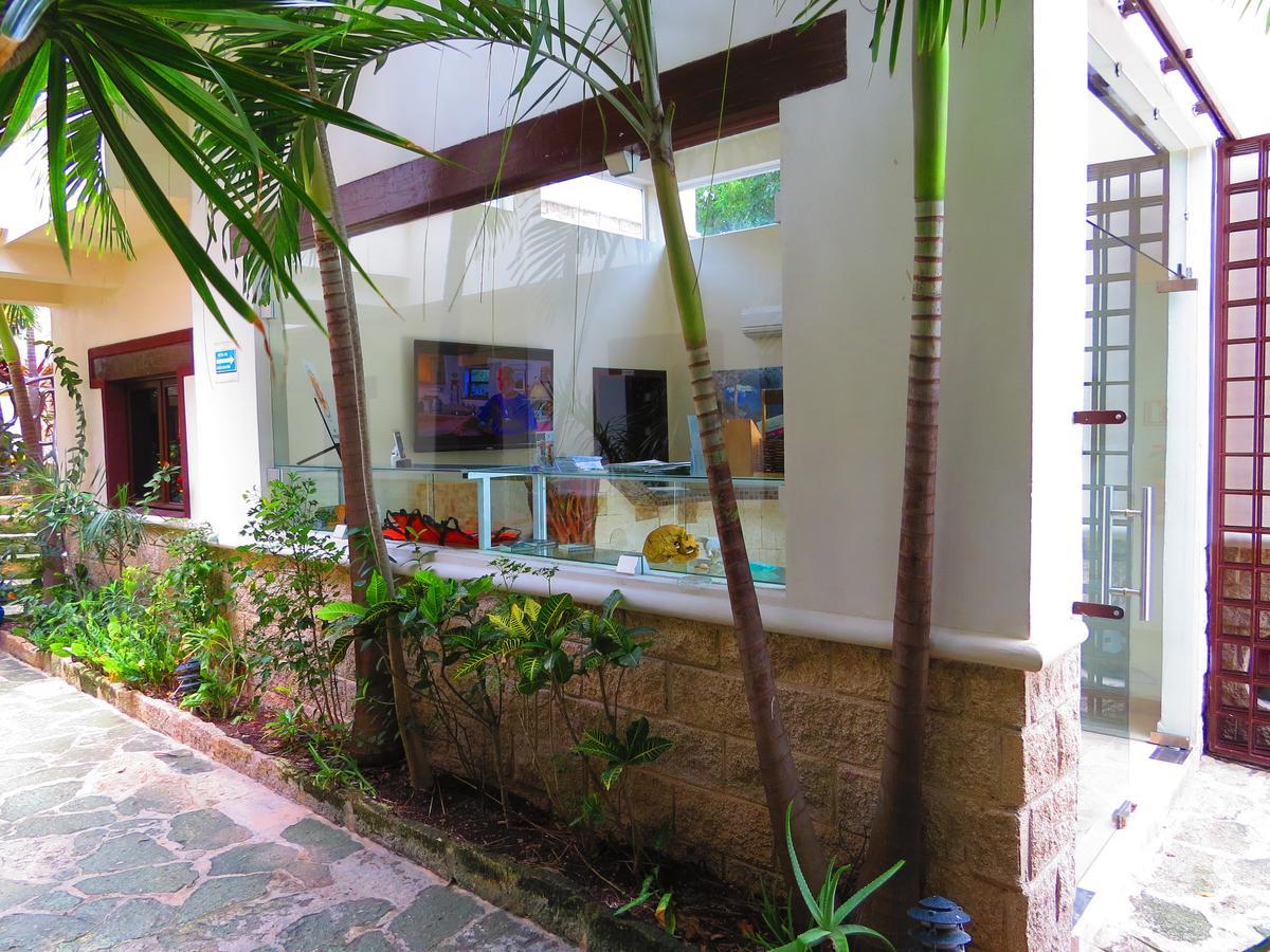 Xibalba Hotel Dive Center 图卢姆 外观 照片