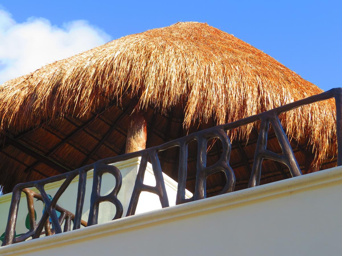 Xibalba Hotel Dive Center 图卢姆 外观 照片