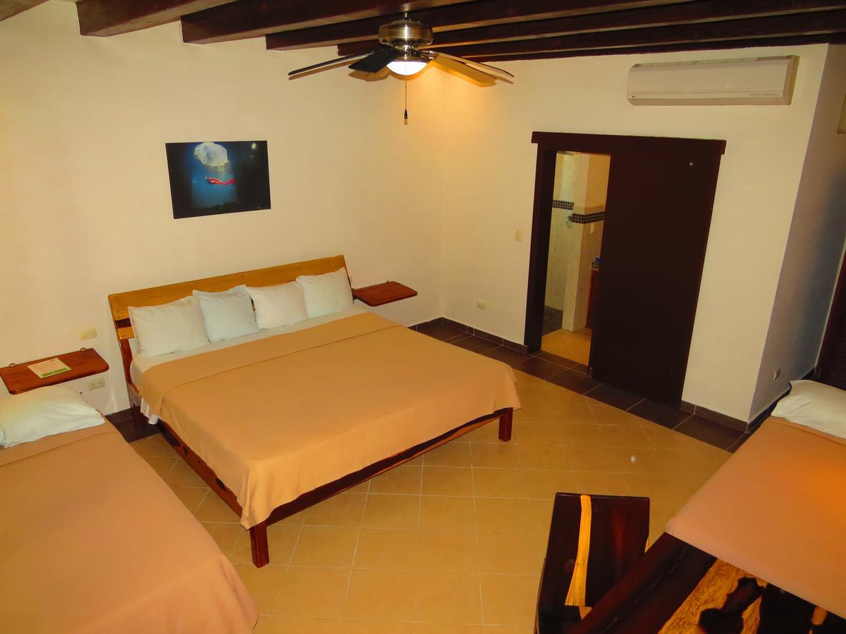 Xibalba Hotel Dive Center 图卢姆 客房 照片