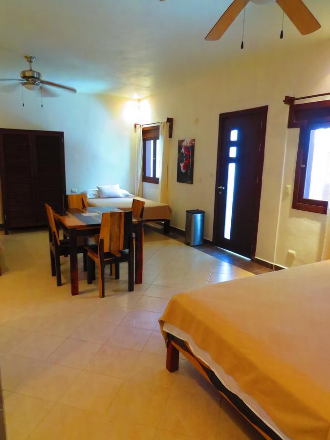 Xibalba Hotel Dive Center 图卢姆 客房 照片
