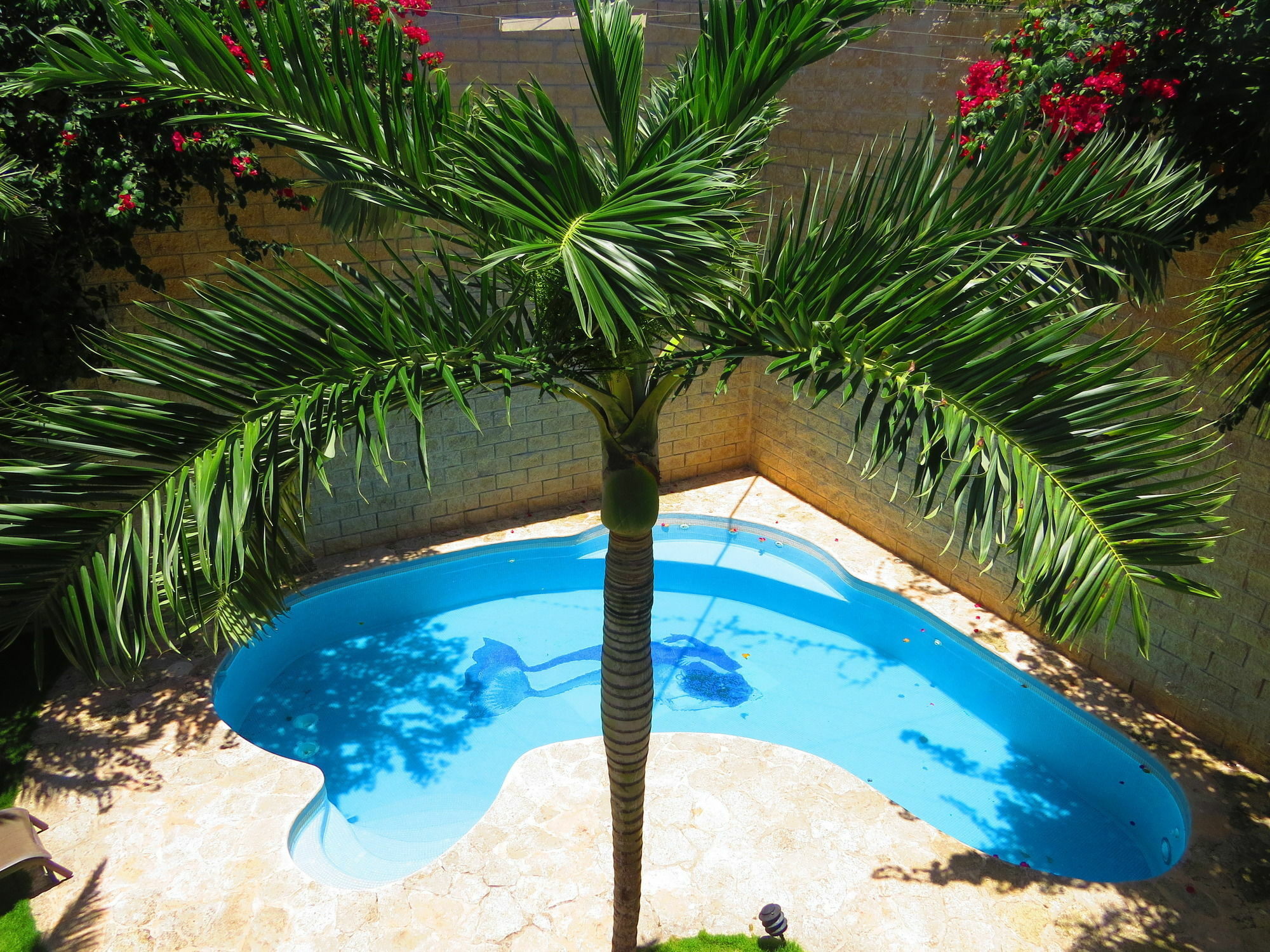 Xibalba Hotel Dive Center 图卢姆 外观 照片